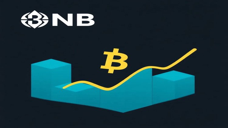 BNB Chain NFT Market Sees 283% Growth